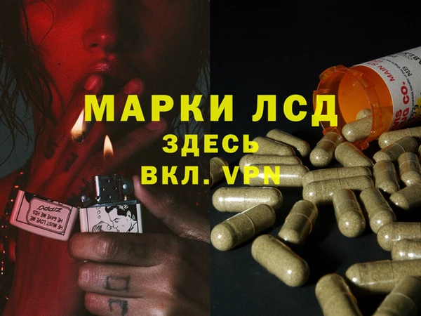 крисы Абаза