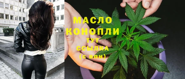 крисы Абаза